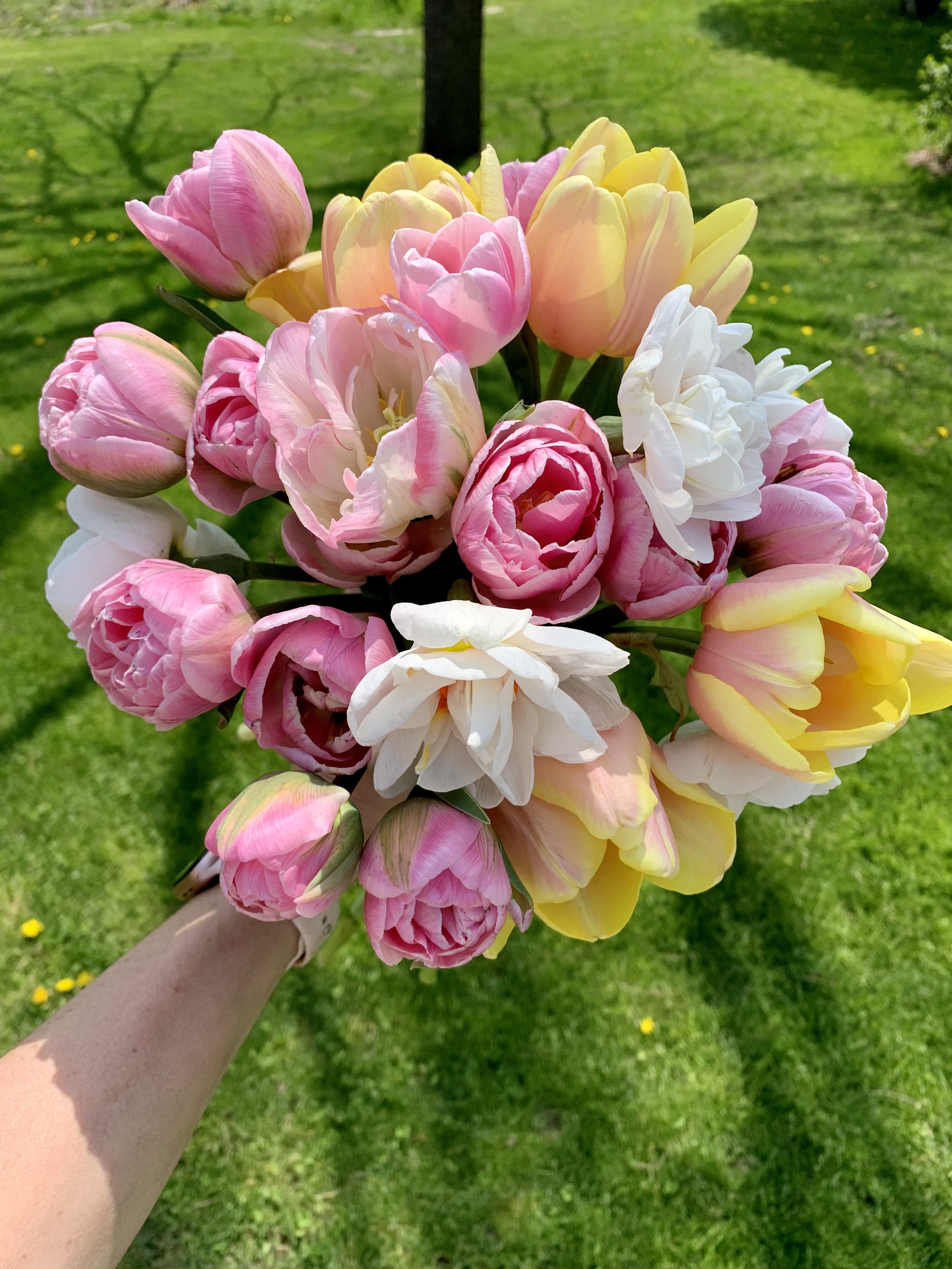 Mixed Tulip Bouquet