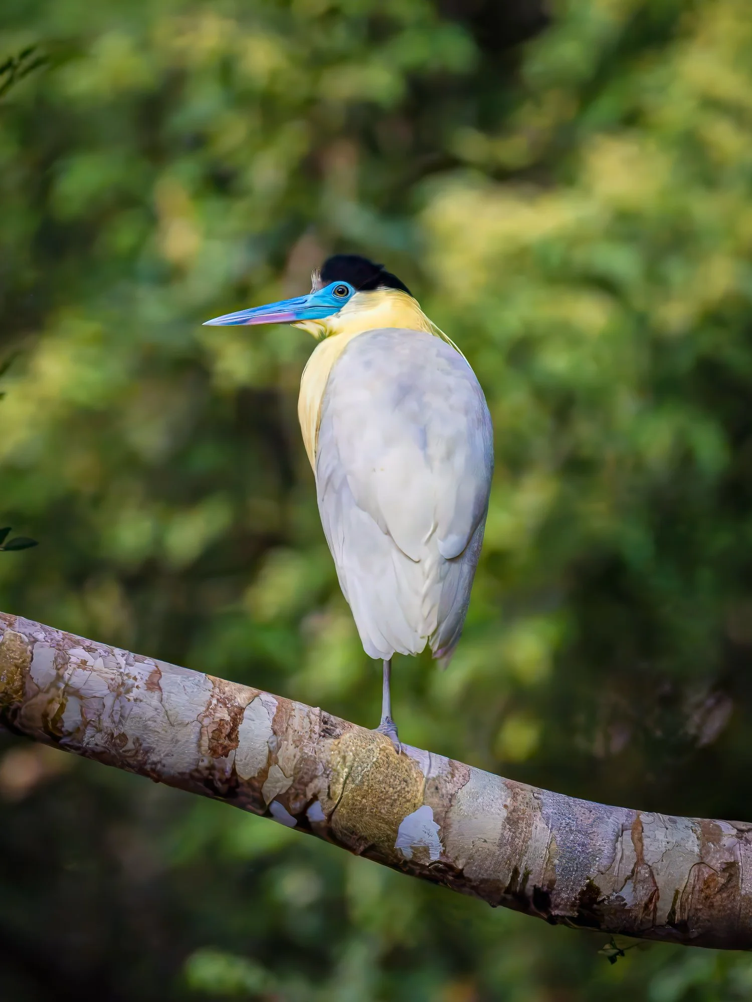 _Z631162-Edit.jpg