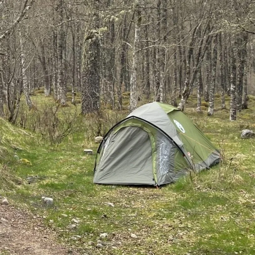 Groene tent in bosrijke omgeving met bomen en gras Vandoya - outdoor - campers - vanlife - camper bouwen - camper huren - Merdeces Benz camper - 319 V6 4x4 -