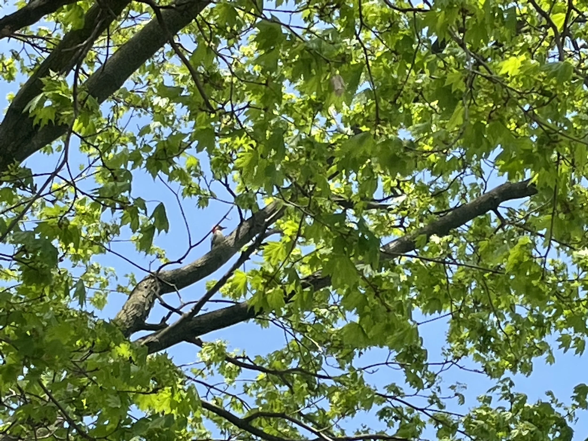 Celebrating Everyday Treasures