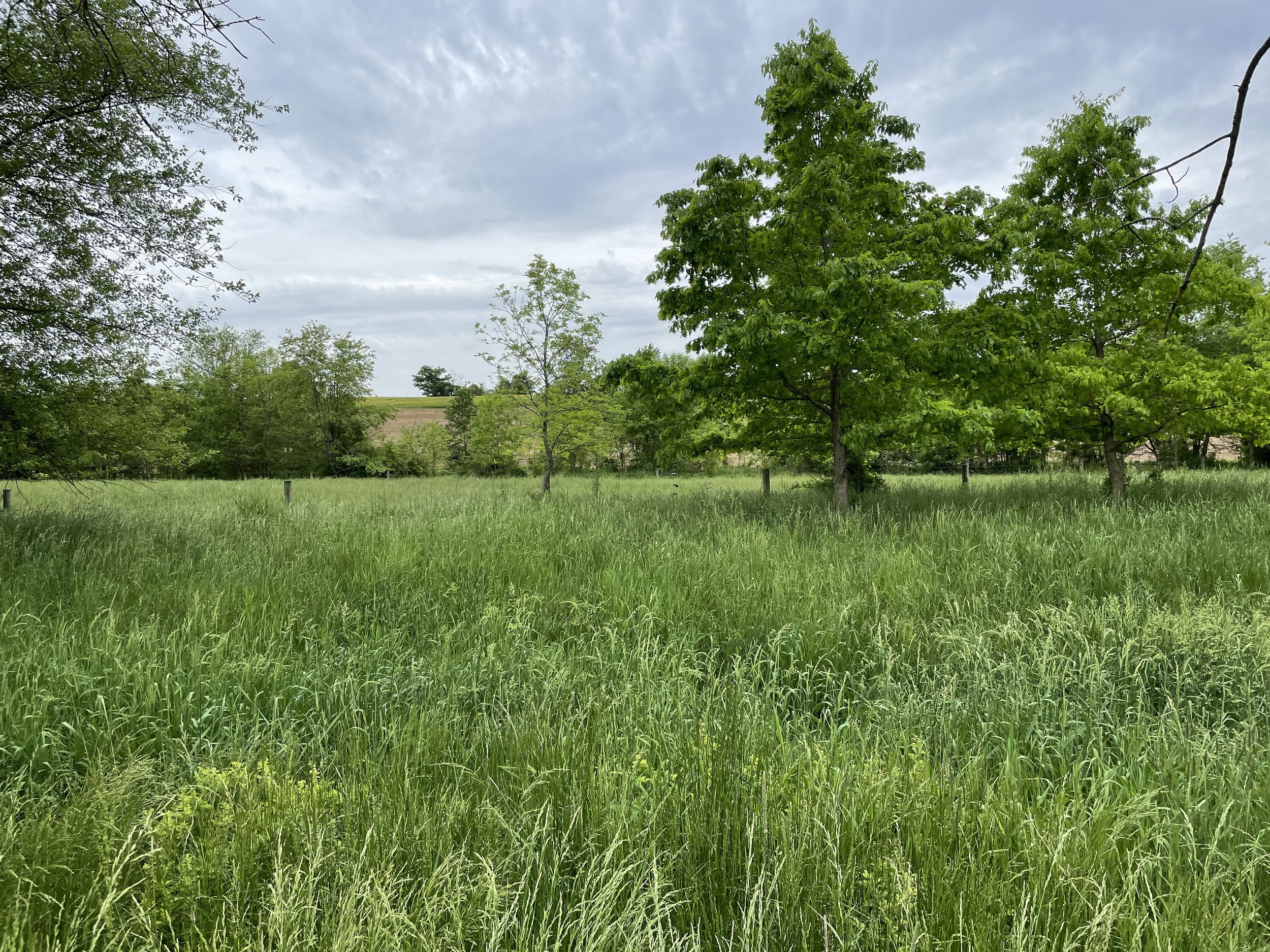 Shoulds and the Importance of Breaks