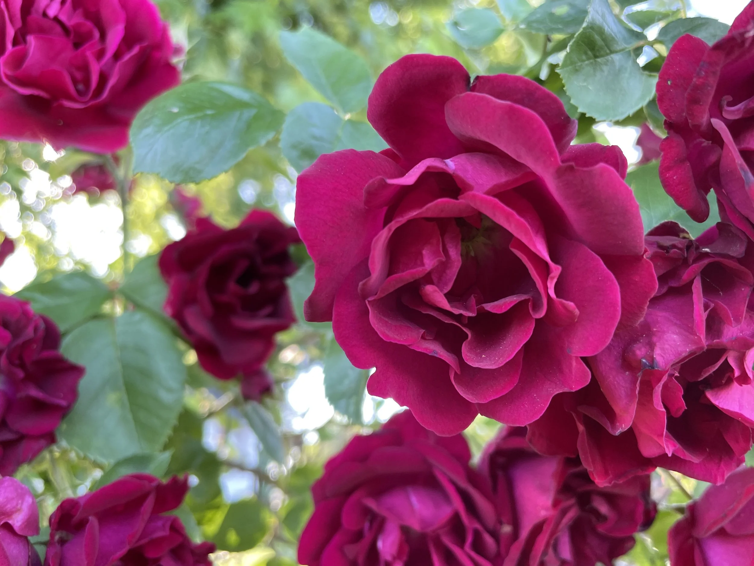 Working Through the Process