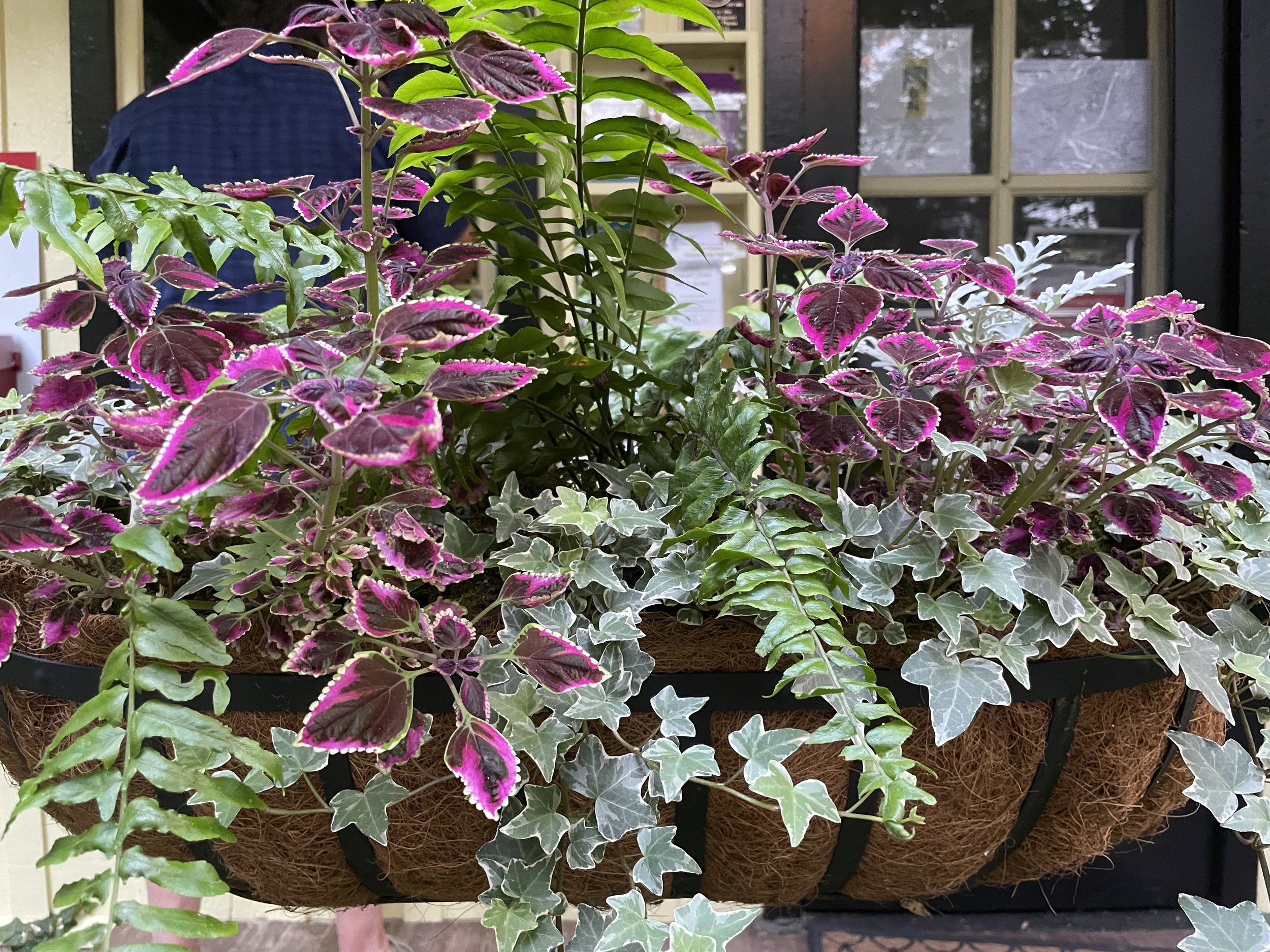 Celebrating Summer and More