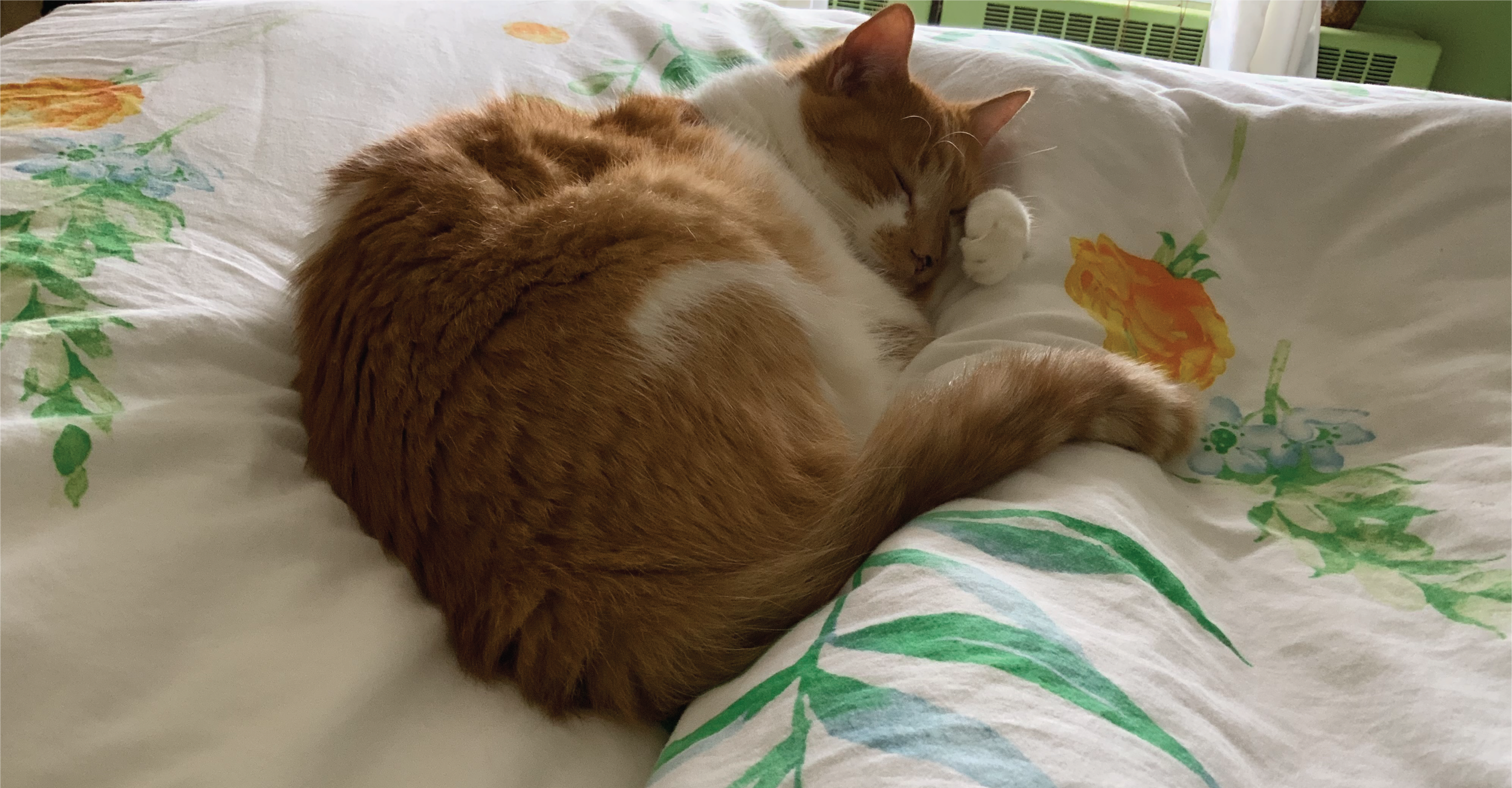 A Simpler, Gentler Approach