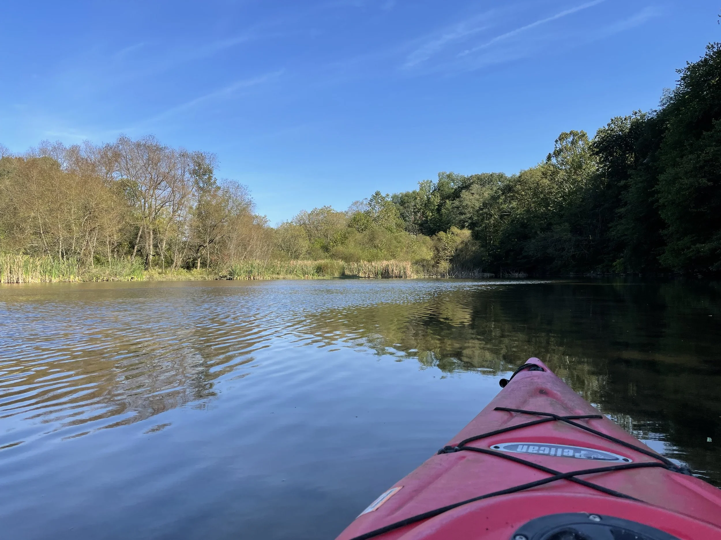 Looking Ahead to Fall