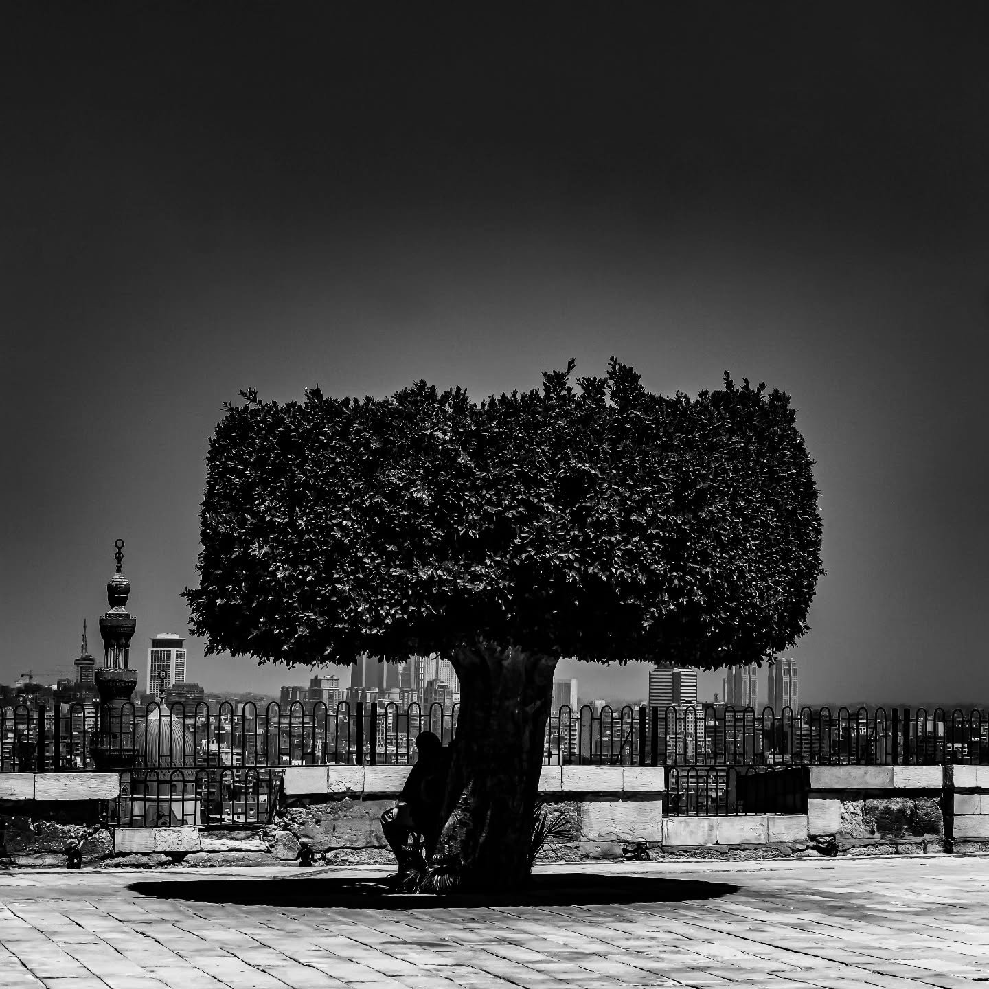 Man reading in the shade, Cairo. Part of a series of black and white photographs I took during my time in Egypt. 📸🇪🇬
.
.
.
.
.
#egypt #egypttravel #egyptphotography #blackandwhite #blackandwhitephotography #africa #africaphotography #travelphotogr