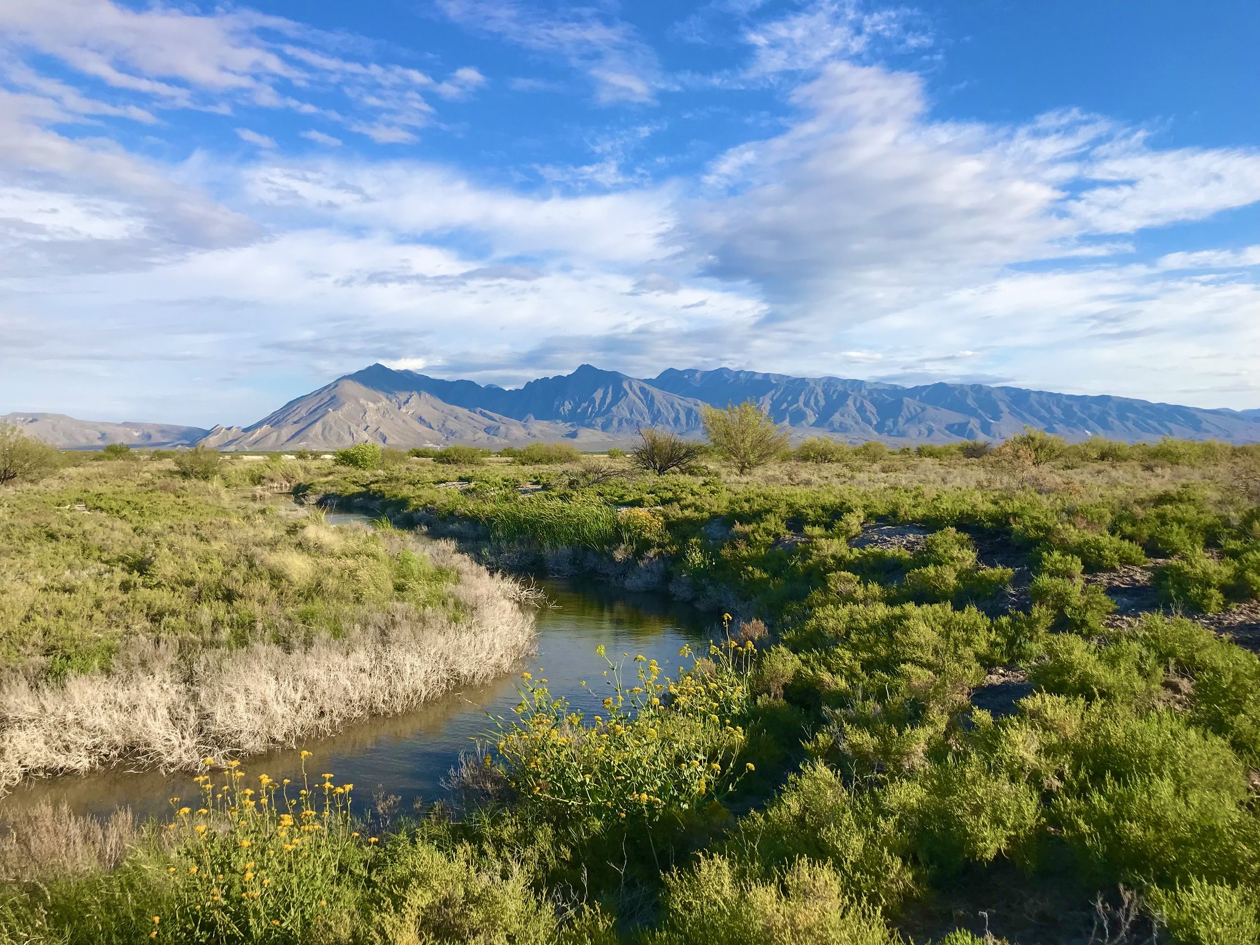 Cuatro-Cienegas-Mexico.jpeg