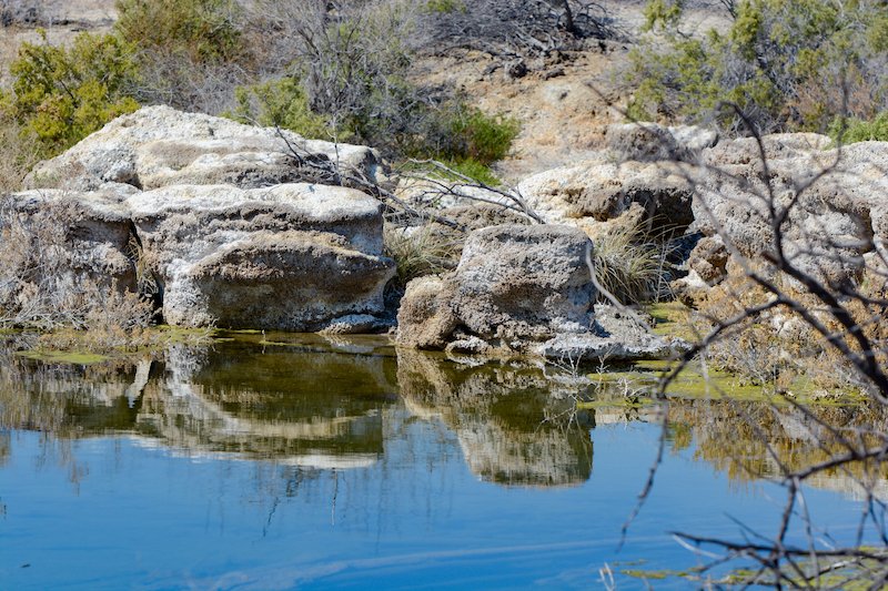 stromatolites-4c.jpg