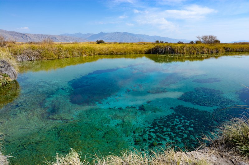 blue-ponds-cuatro-cienegas-mexico.jpg