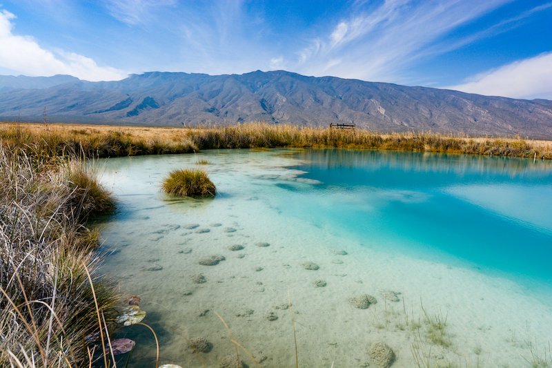 ponds-cuatro-cienegas-mexico-microbiology.jpg