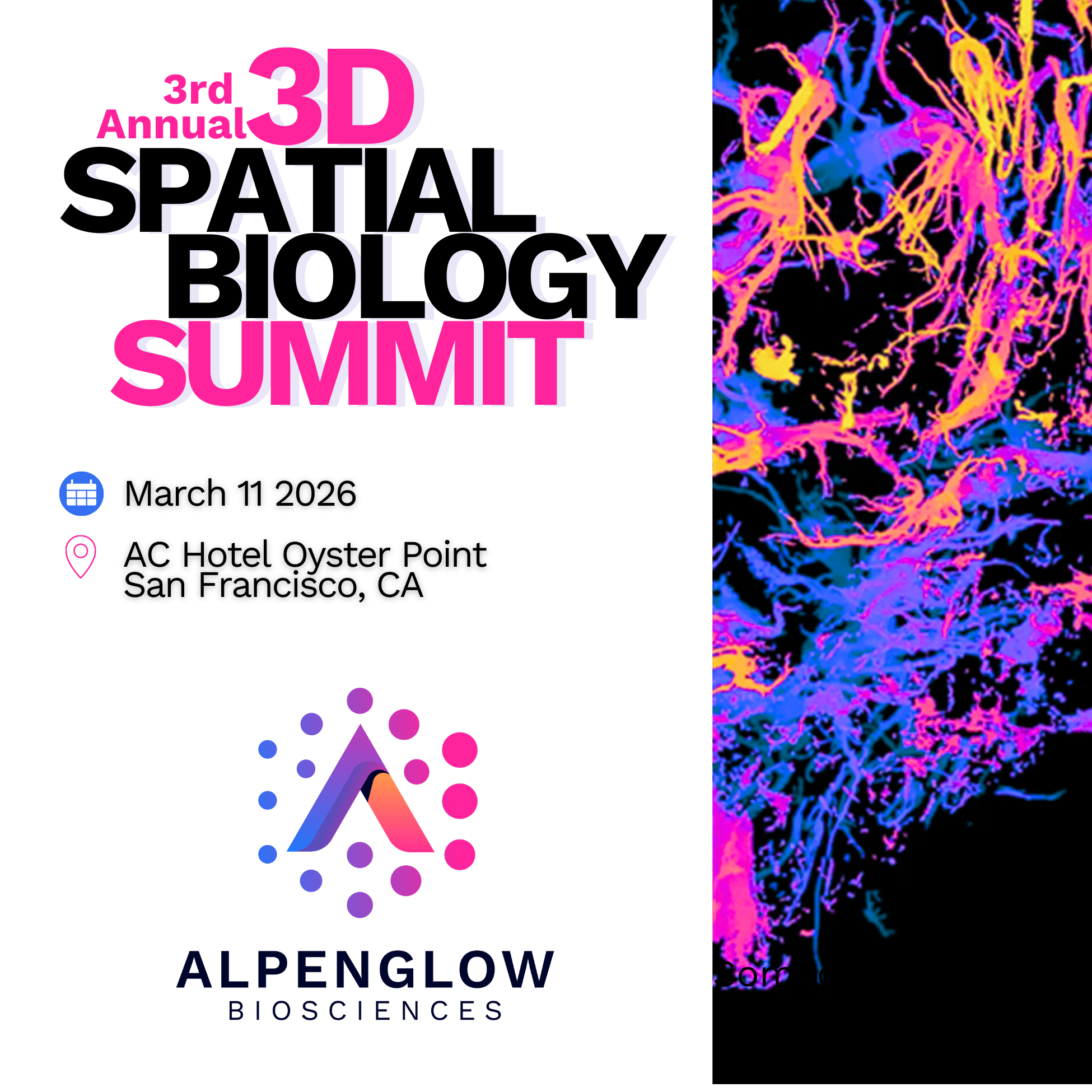 3rd Annual 3D Spatial Biology Summit