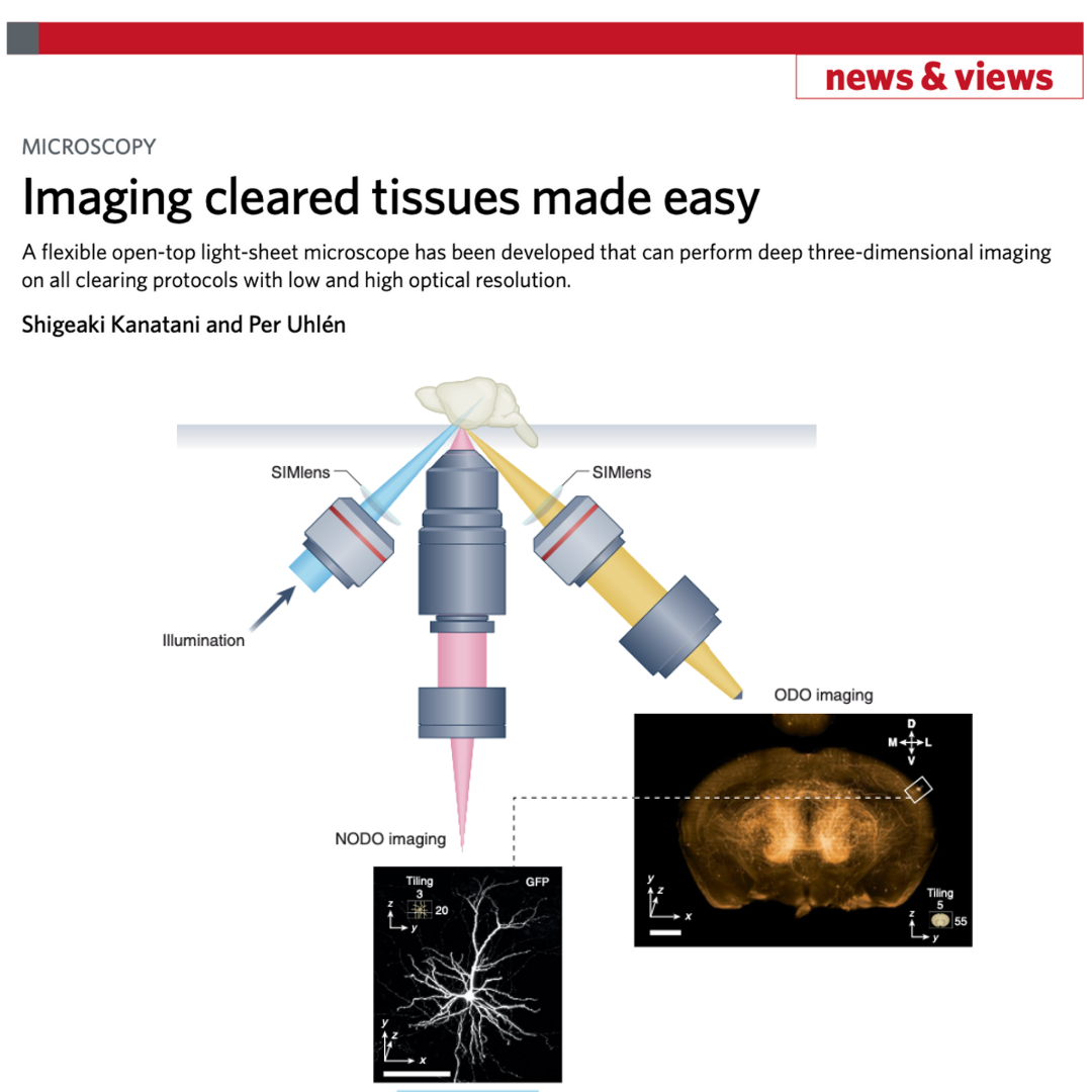 Aurora 3D Tissue Imaging Platform | Digital Pathology & AI Imaging ...