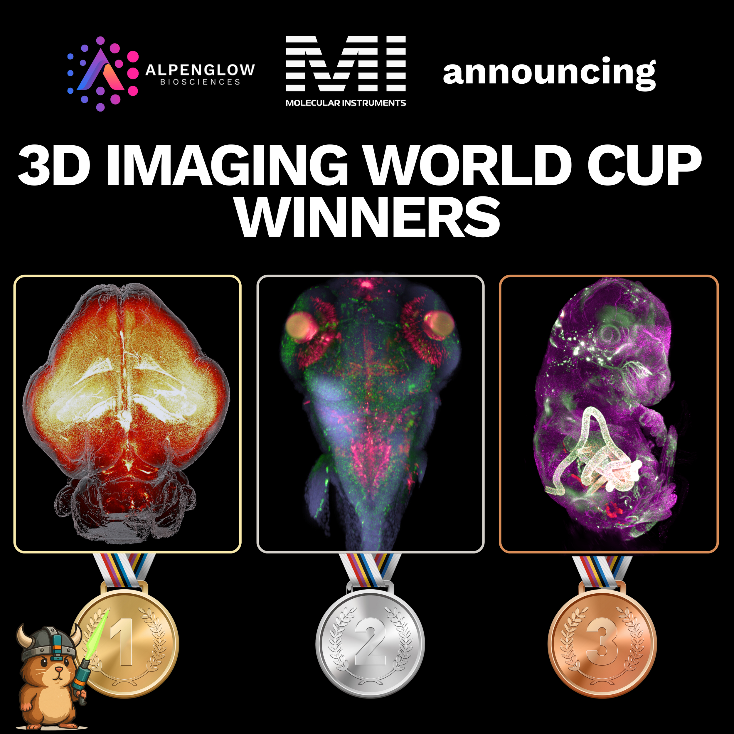 3D Imaging World Cup 2025. Meet the Winners