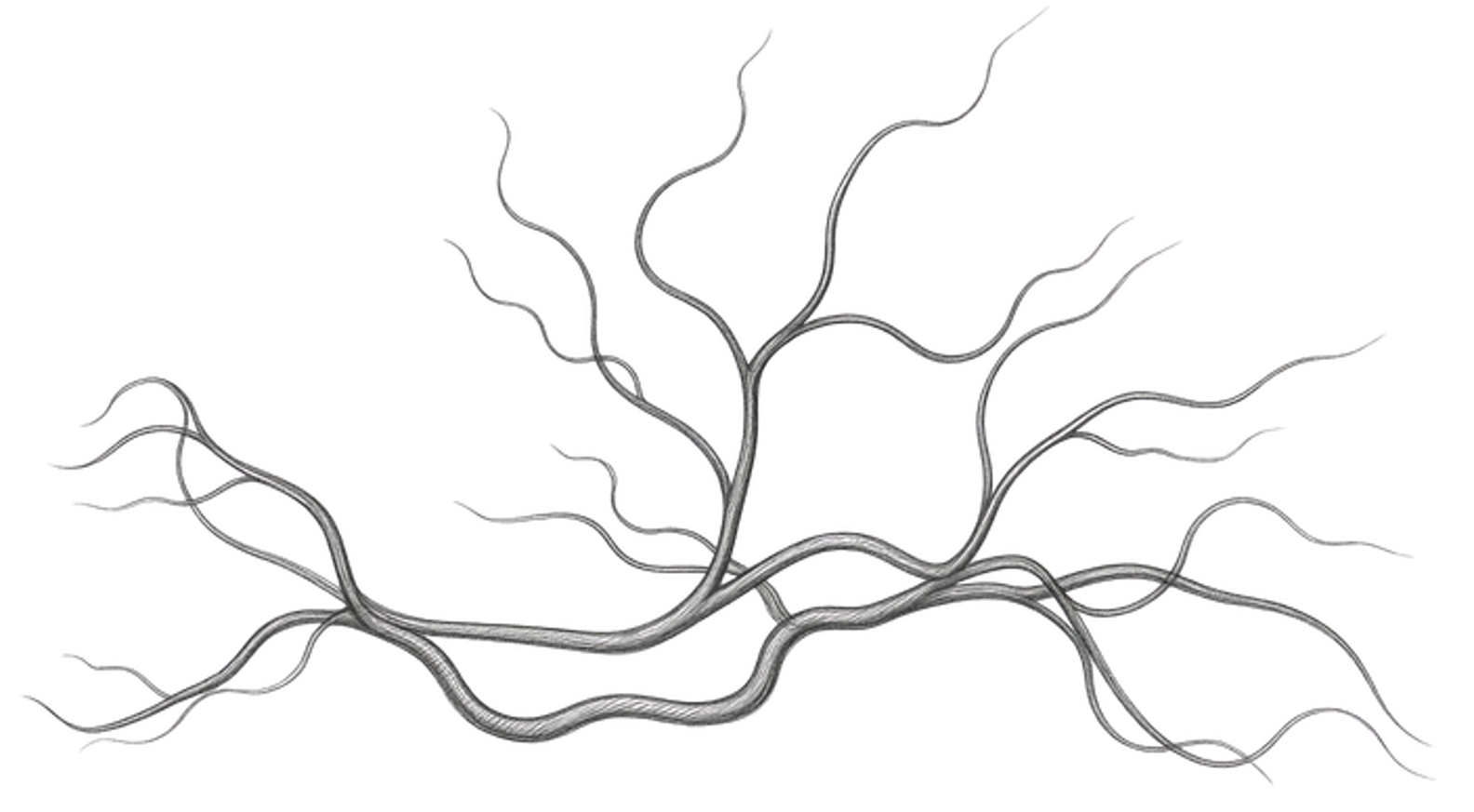 3D imaging of nerves, glia, and mast cells in human sigmoid mucosal biopsies
