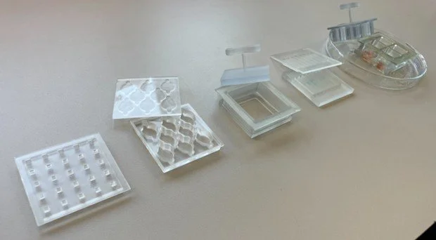 3D i™ Hybrid Open-Top Light-Sheet Microscope – 3D Imaging Microscope ...