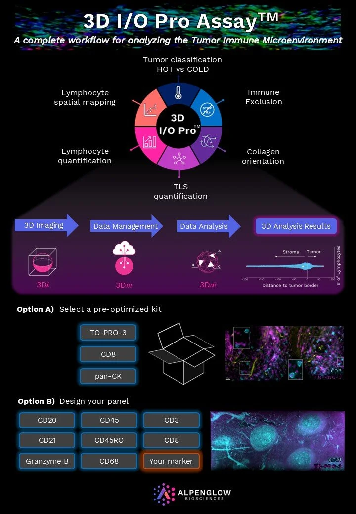 3D IO Pro Kit Brochure.jpg