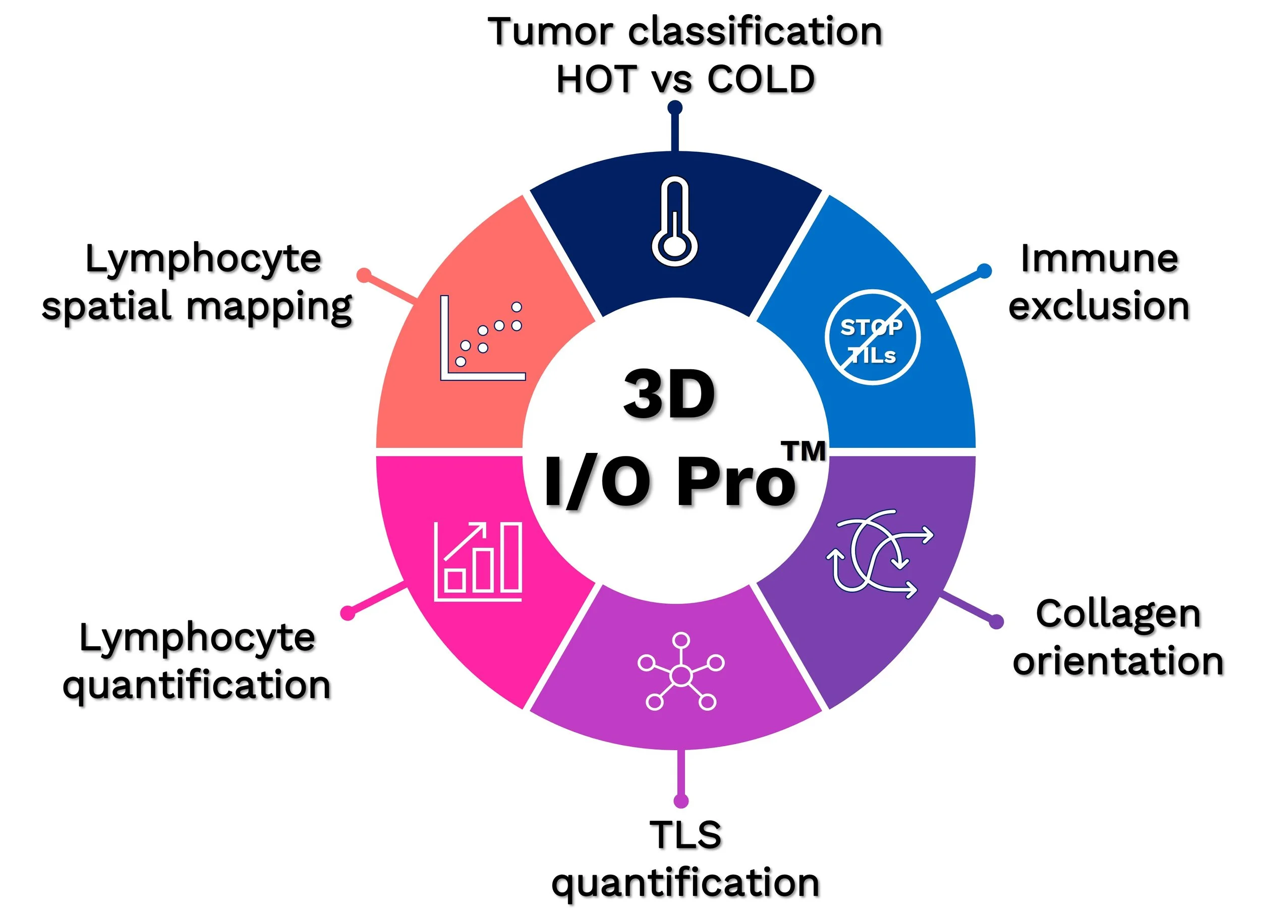 3D I/O Pro assay summary showing tumor classification, immune exclusion, collagen orientation, TLS quantification, lymphocyte quantification, and lymphocyte spatial mapping