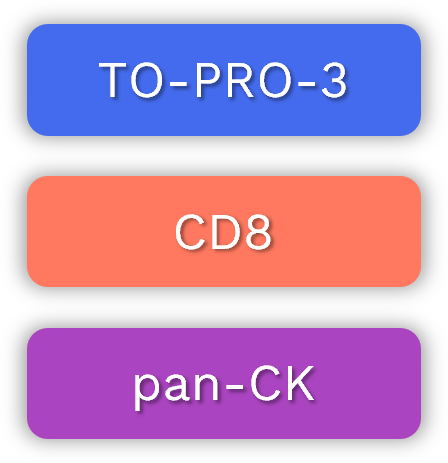 3D I/O Pro marker panel with TO-PRO-3, CD8, and pan-CK