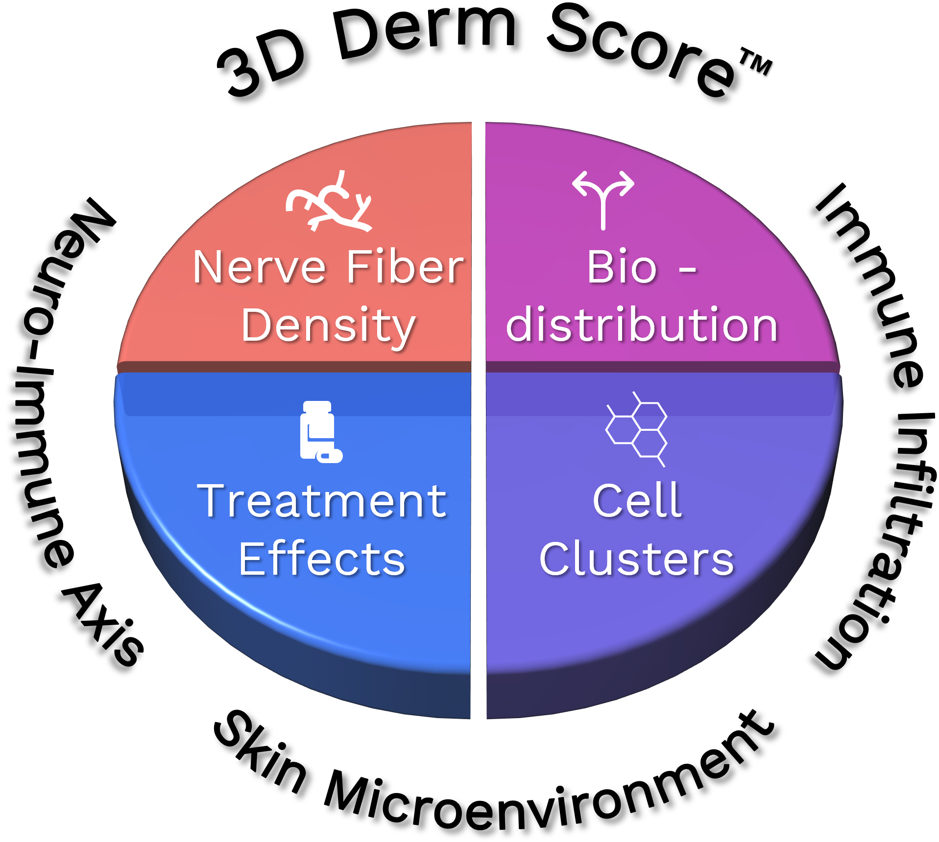 3D Derm Score summary showing nerve fiber density, bio-distribution, treatment effects, and cell clusters