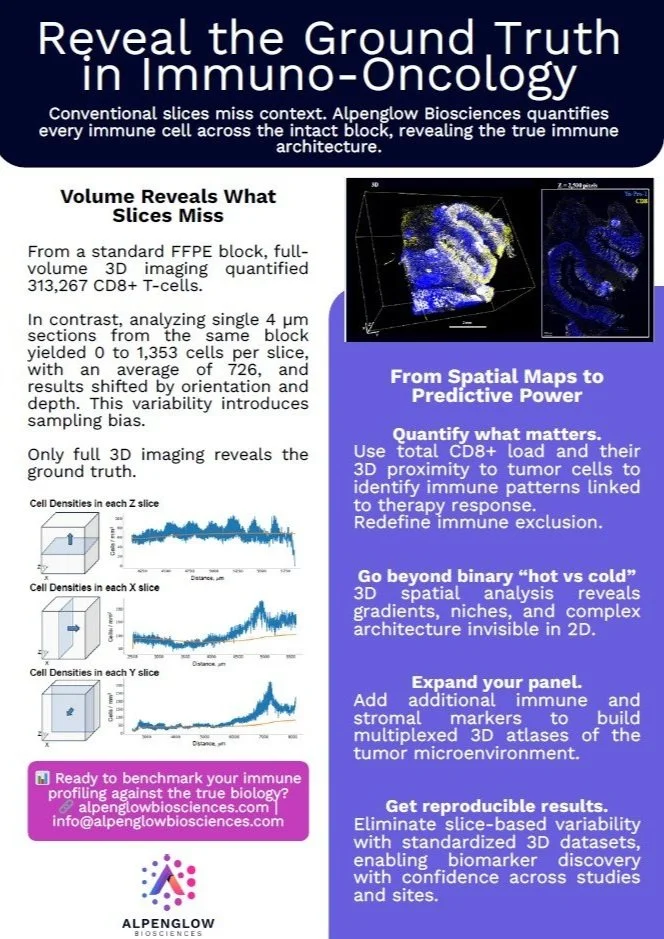 Ground Truth in IO.jpg