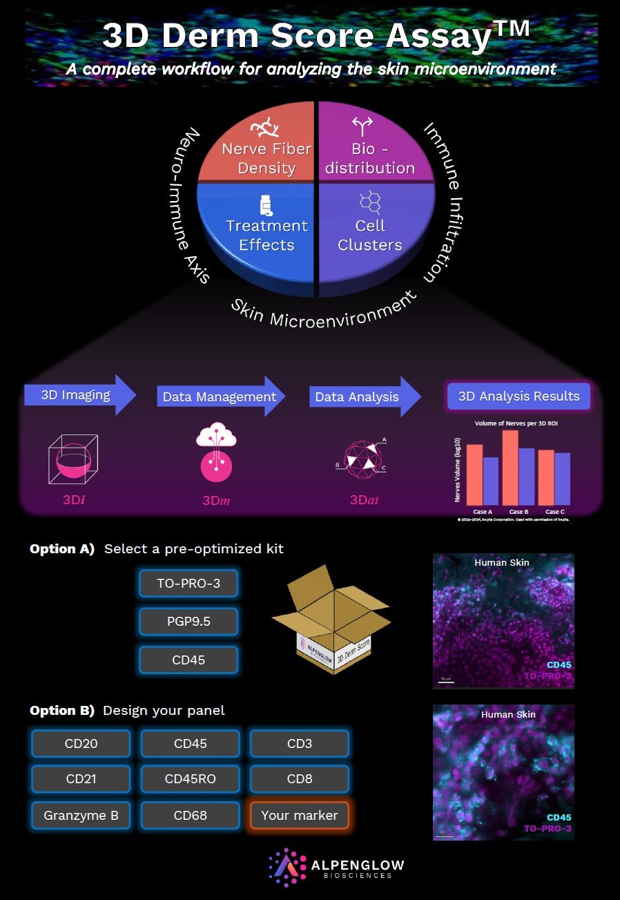 3D Derm Score Kit Brochure.jpg