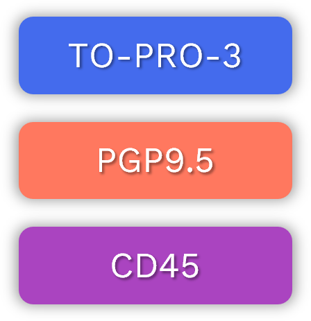 3D Derm Score marker panel with TO-PRO-3, PGP9.5, and CD45