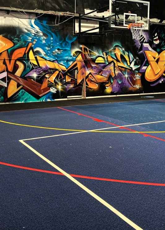 Basketball Court Entry per person