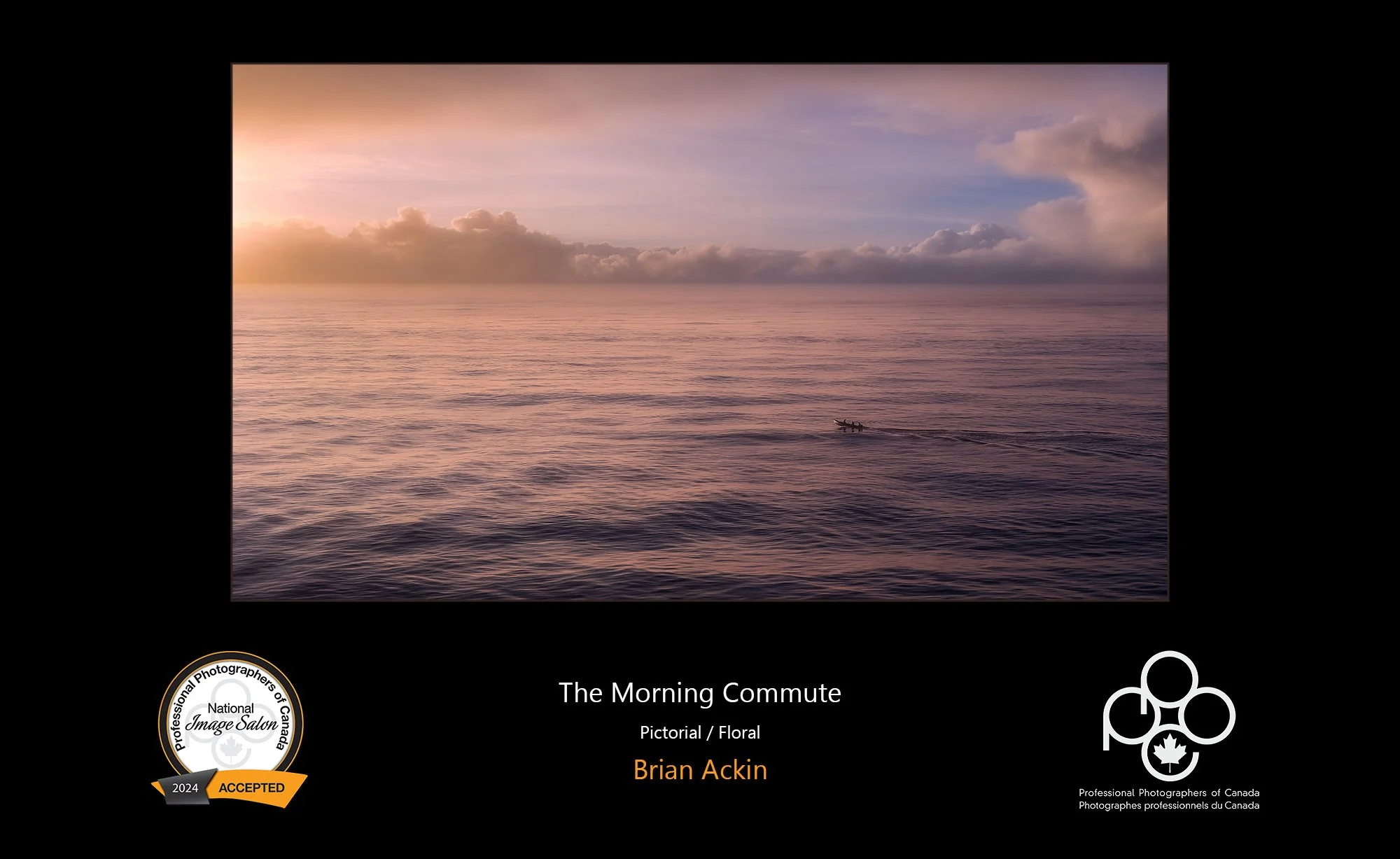 PPOC National Image Salon 2024 — Brian Ackin Photography