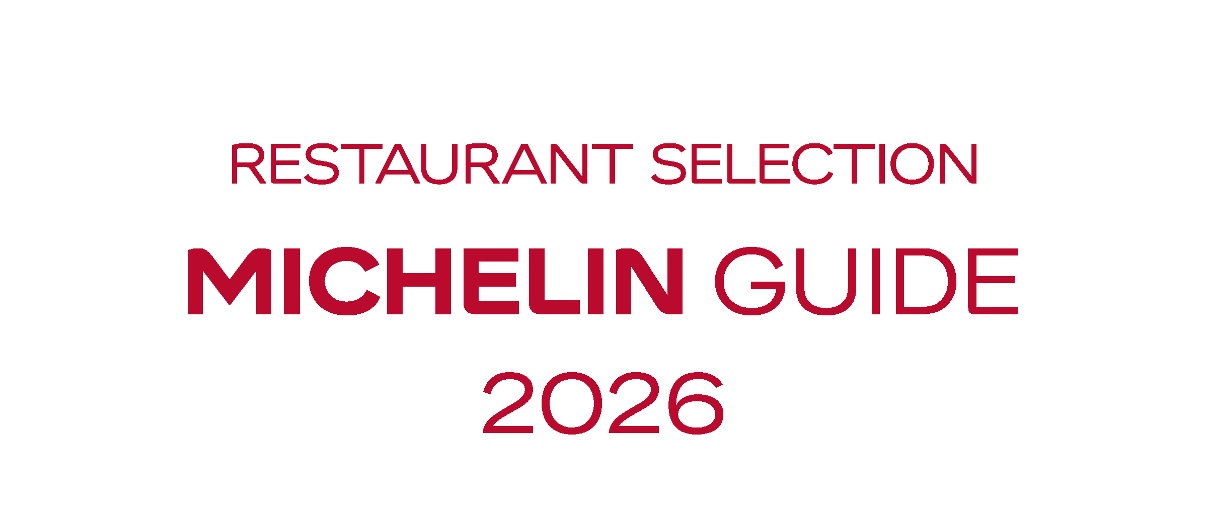 MICHELIN_Selected_Rectangle_White.png