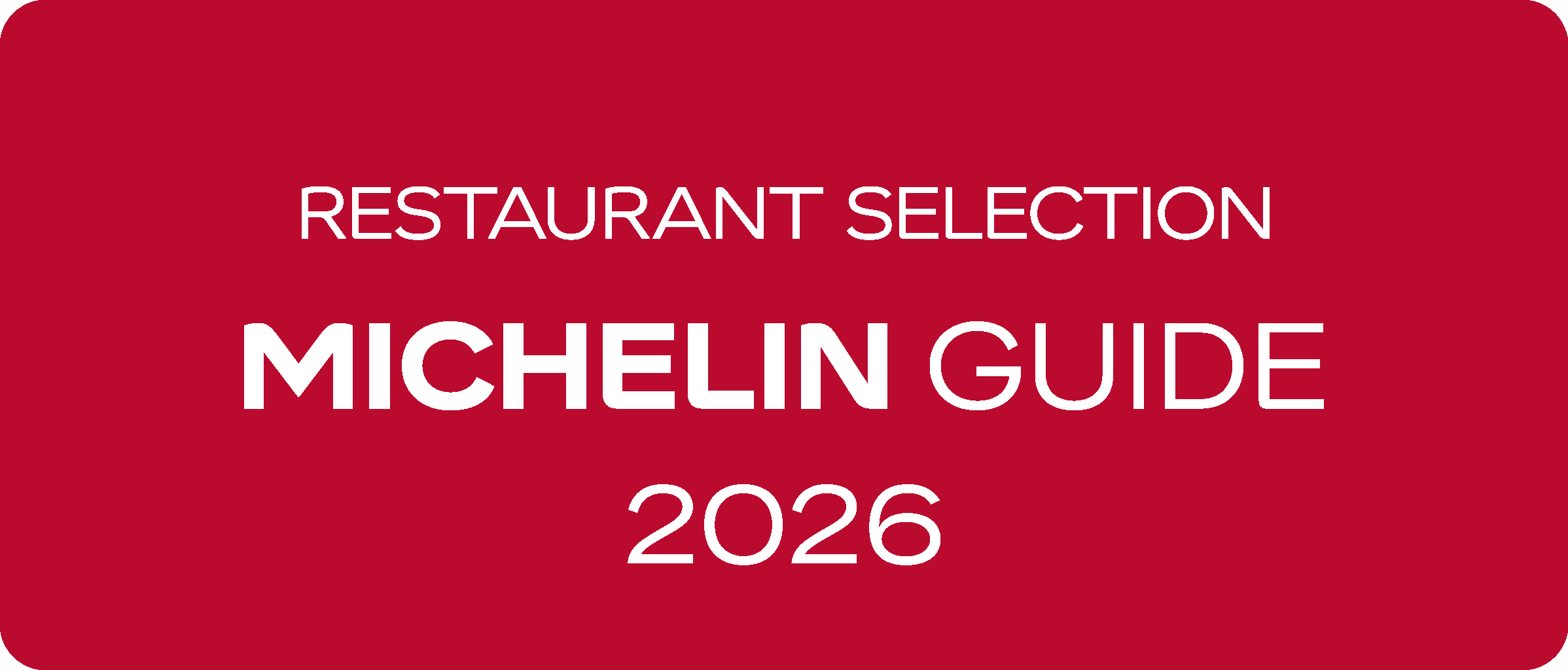 MICHELIN_Selected_Rectangle_Red.png
