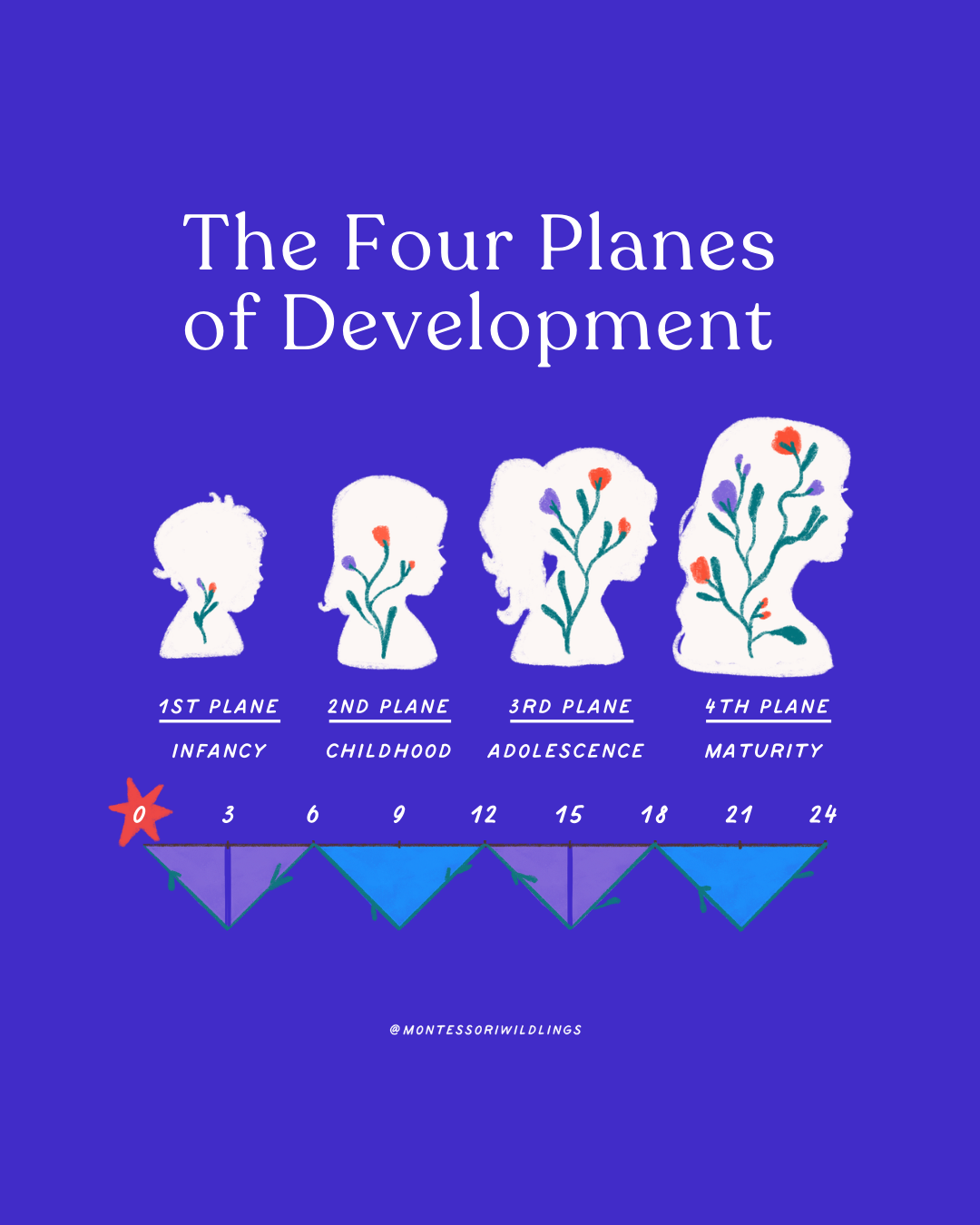 The Four Planes of Development: Understanding Childhood Through Montessori's Eyes