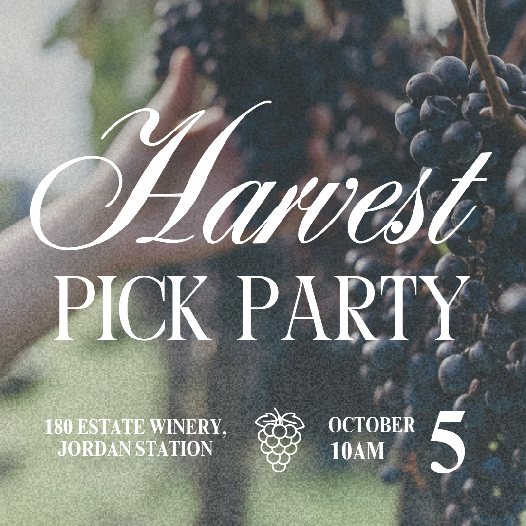 Harvest+pick+party+2025+%28Presentation%29+%283%29.png
