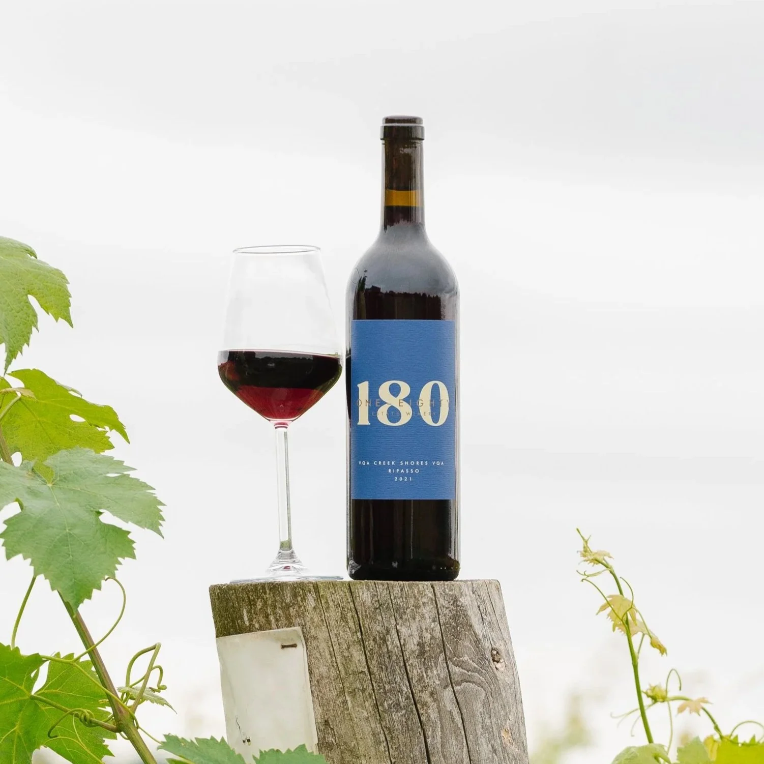 06262025+180+Winery+0164.jpg