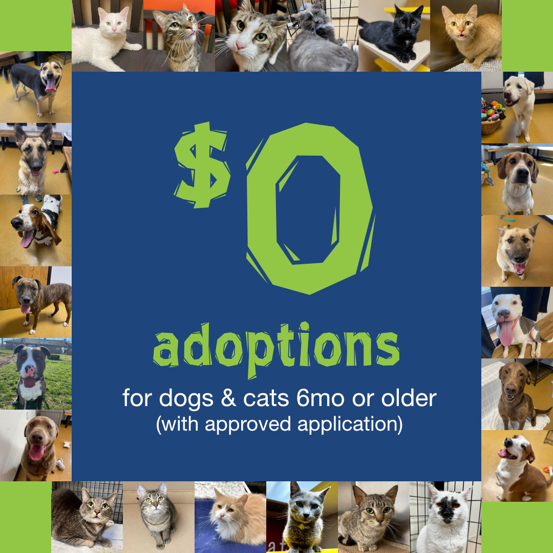 📣📣📣 ADOPTION SPECIAL!!! 📣📣📣
$0 ADOPTION FEES FOR ADULT DOGS &amp; CATS (6 MO+)

This special ends April 30th. View adoptable pets at https://www.petango.com/newnodawayhumanesociety

All adoptions come with spay/neuter, rabies vaccination, age-a