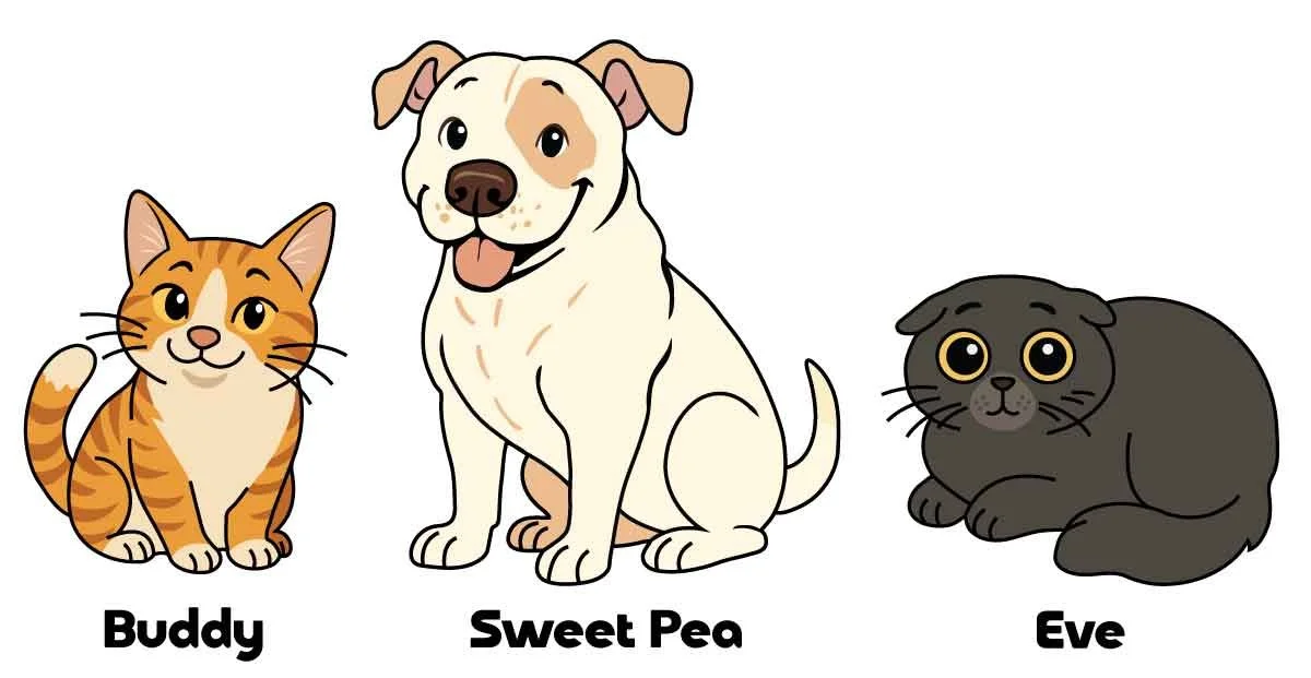 Illustration of a cat named Buddy, a dog named Sweet Pea, and a black rabbit named Eve, all sitting and looking forward.