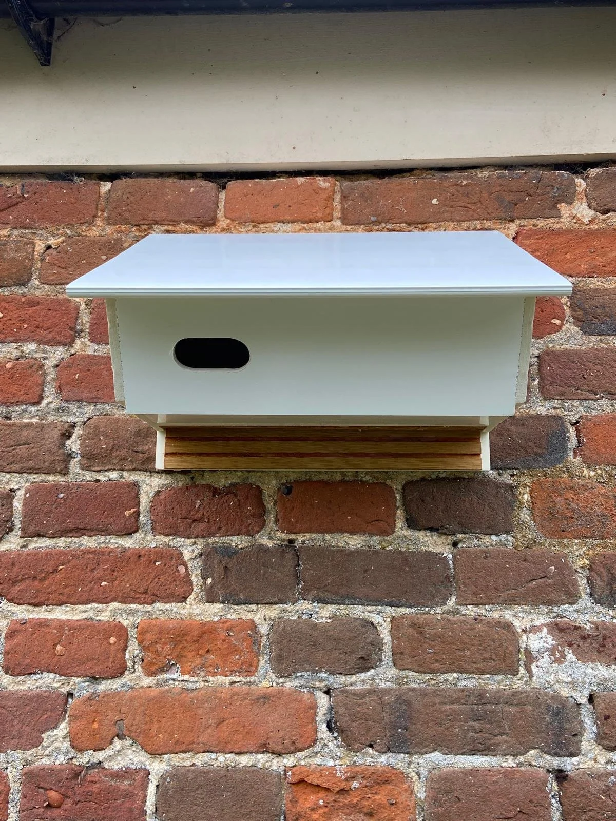 swift and bat box ecology enhancements household garden