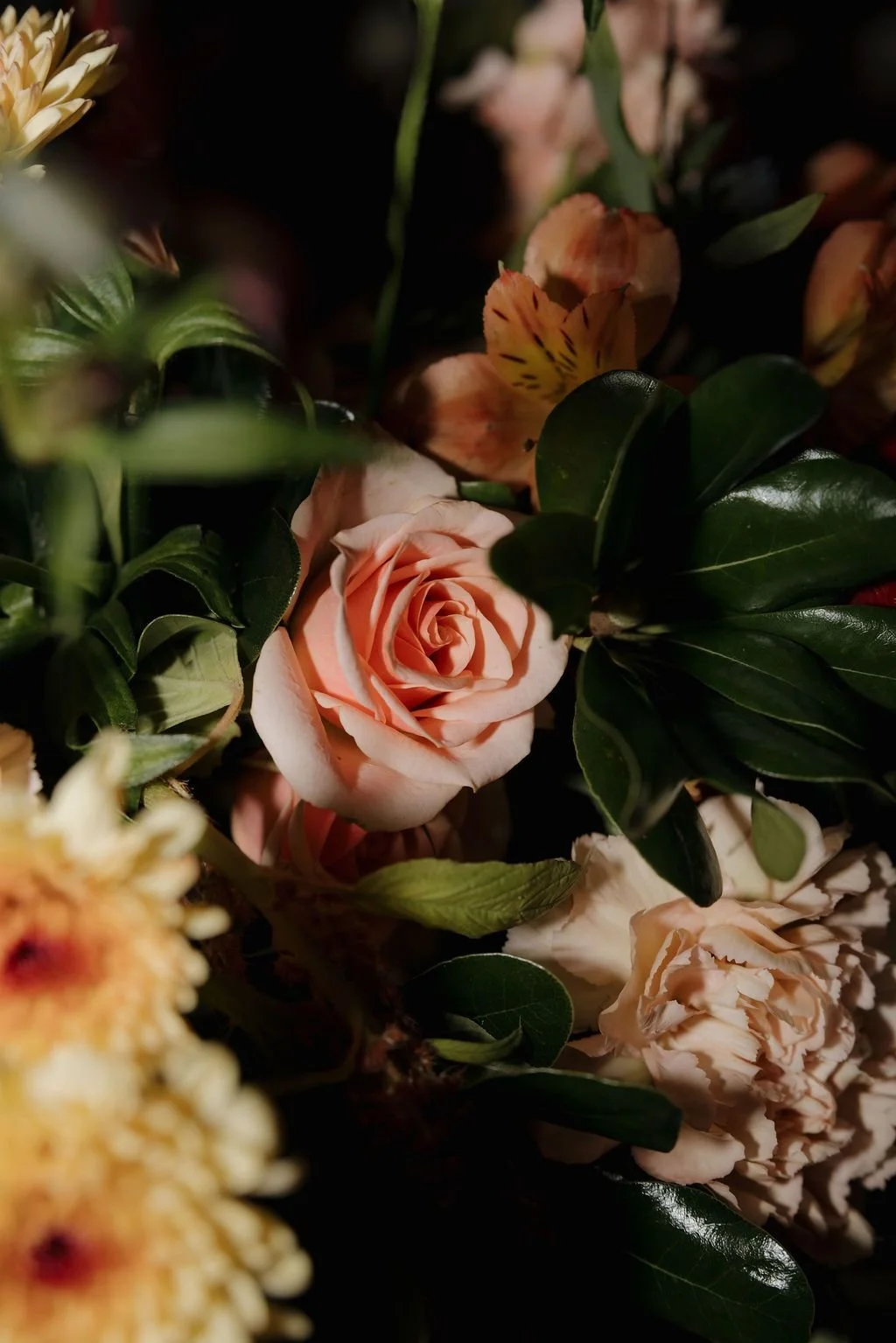 Close-up of a peach rose with alstroemeria, white dahlia, and glossy greenery in moody light