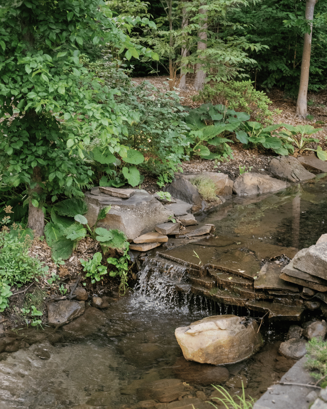 Sapphire Creek Winery 6.png