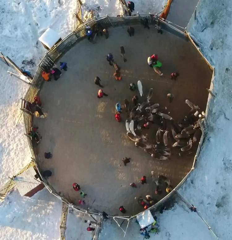 Skärmavbild 2020-05-20 kl. 23.45.20.jpeg