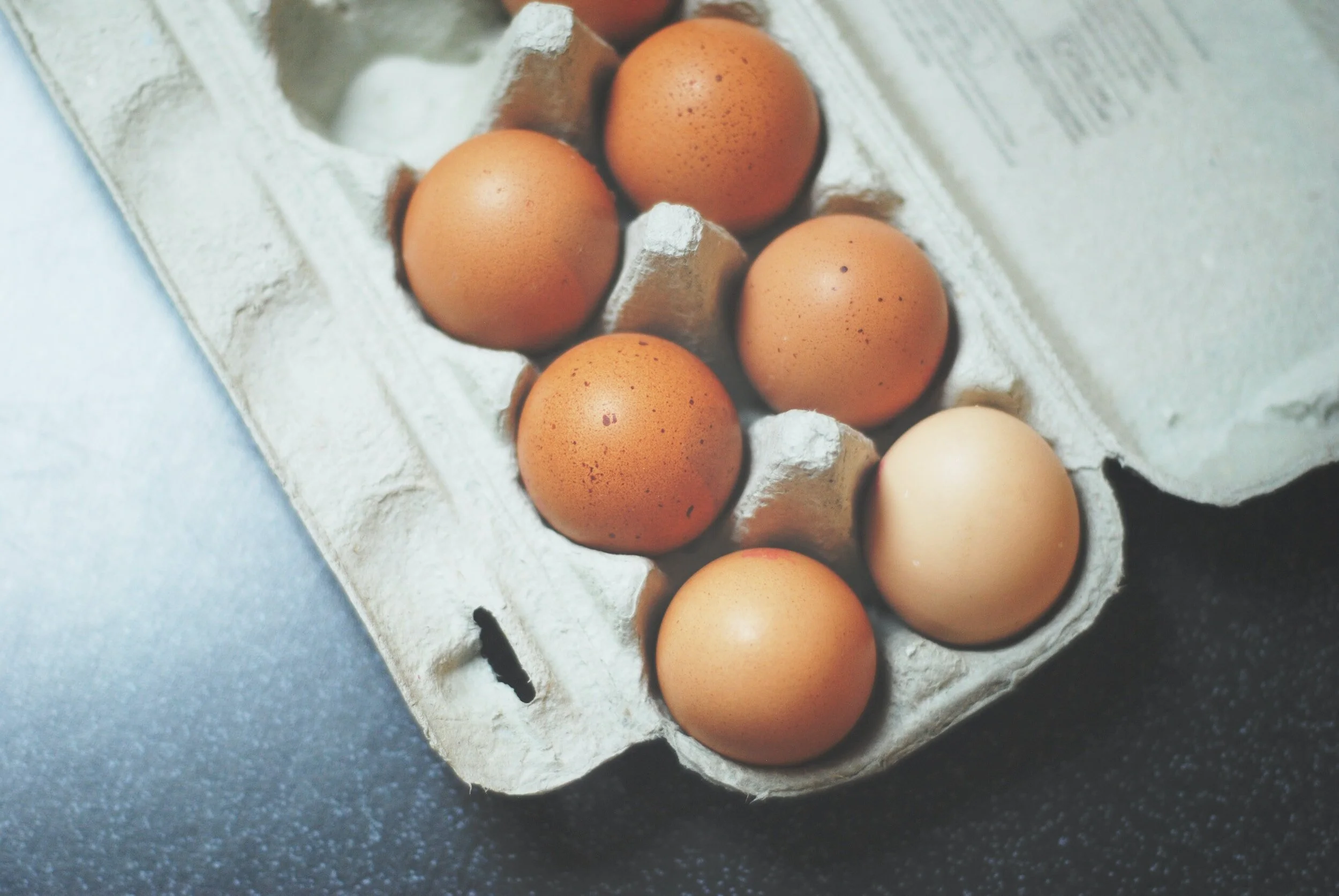 What Your Egg Labels Mean: Organic vs Cage-Free vs Pastured