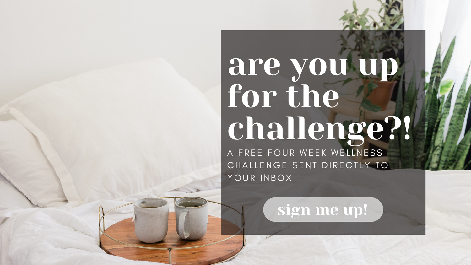 Convenient and Affordable The Best Online Organic Stores — Wellness