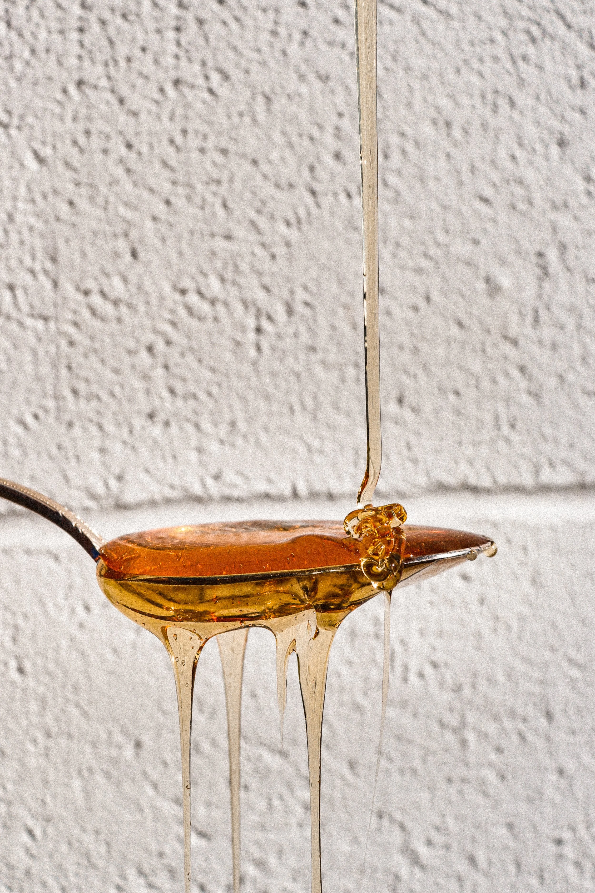 The Health Benefits of Wildflower Honey (and Why It Deserves a Spot in Your Kitchen)