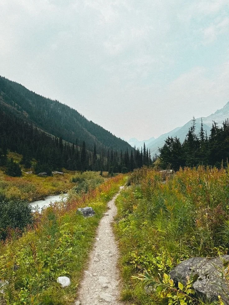 Paleo Backpacking Meals: The Best Real Food Options for Your Next Adventure ⛰️