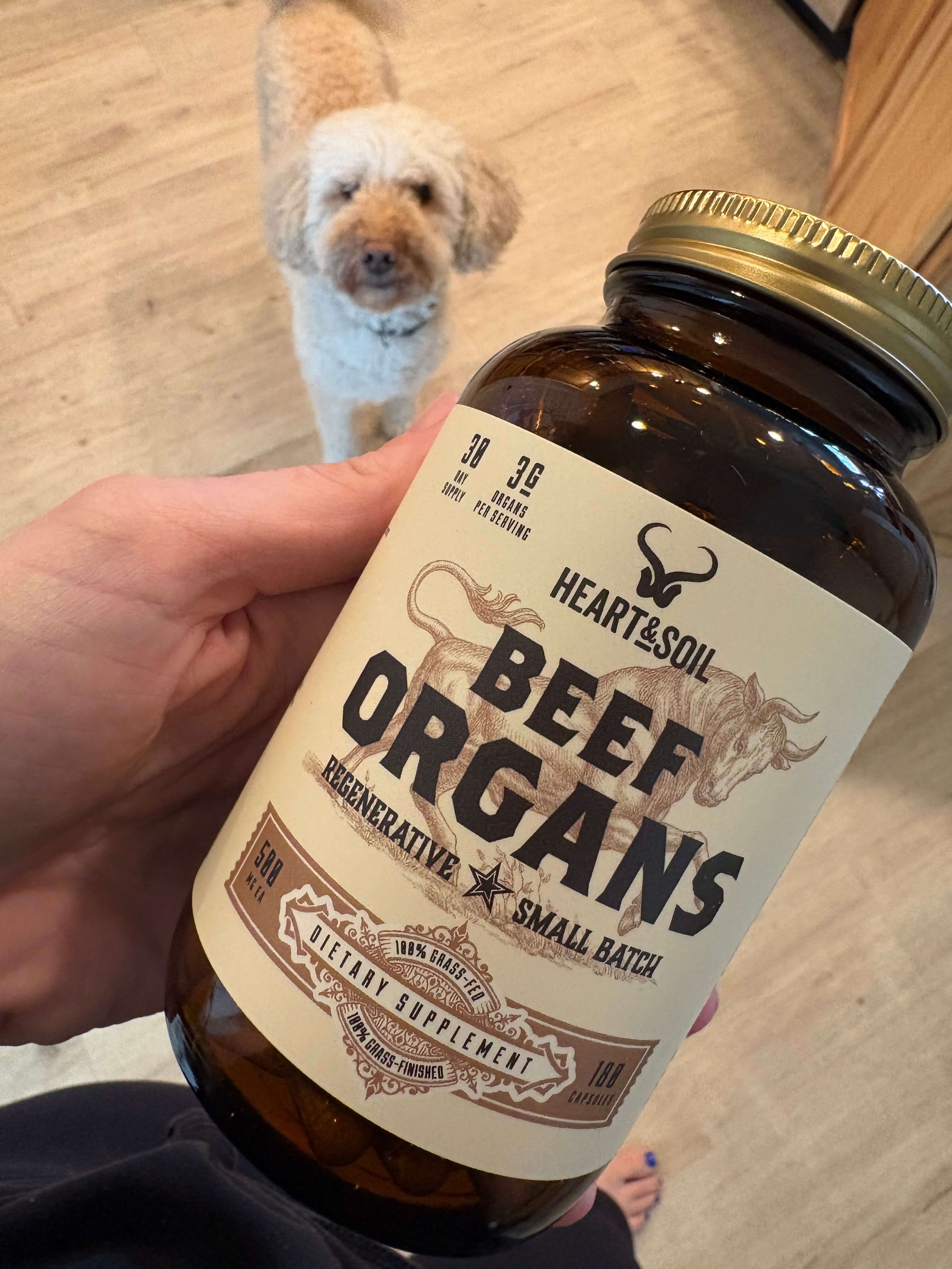 The Best Beef Organ Supplements for Holistic Health? RN Approved ✅