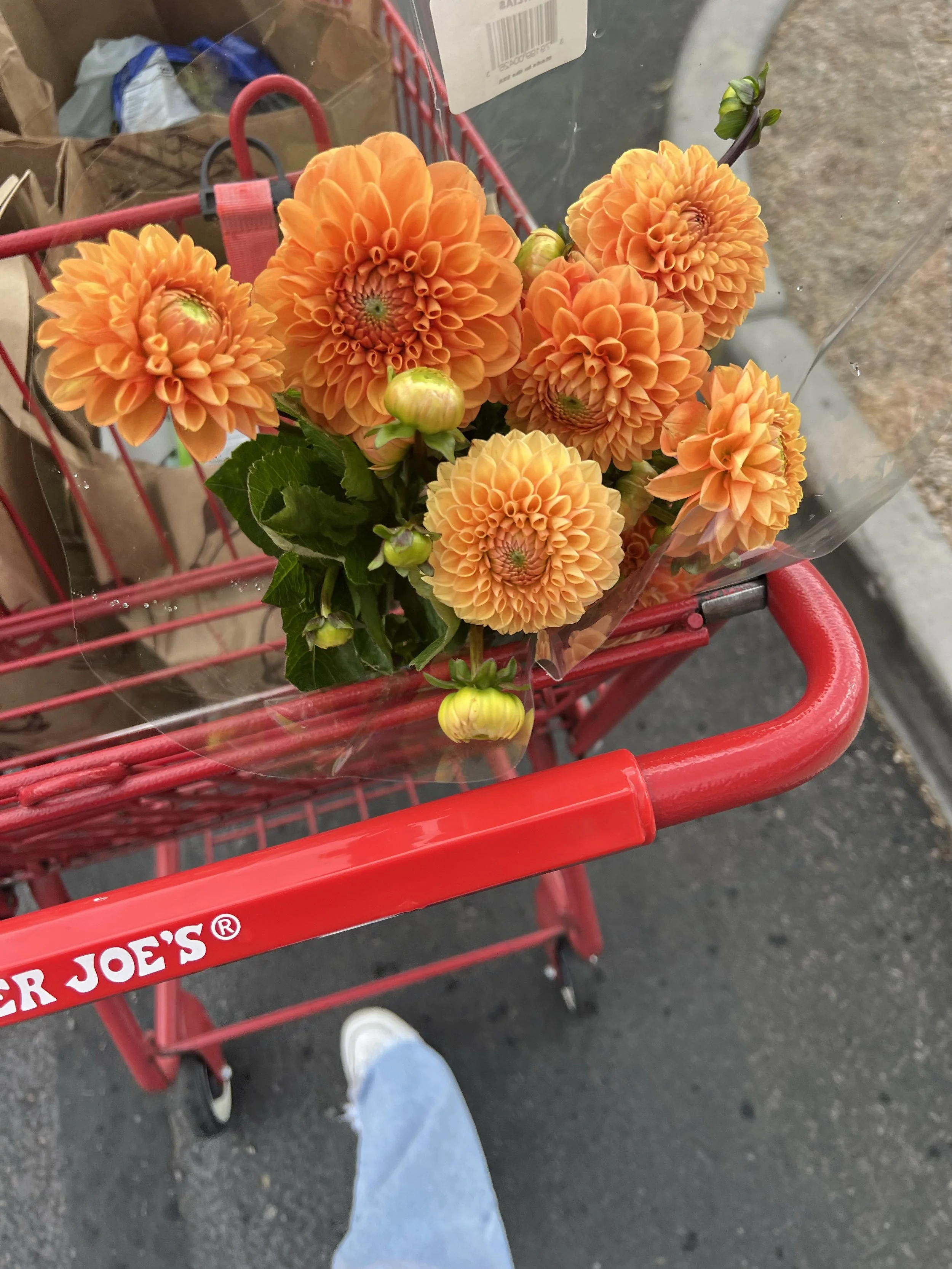 Healthy Trader Joe’s Snacks for Fall: 12 Cozy Finds to Add to Your Cart