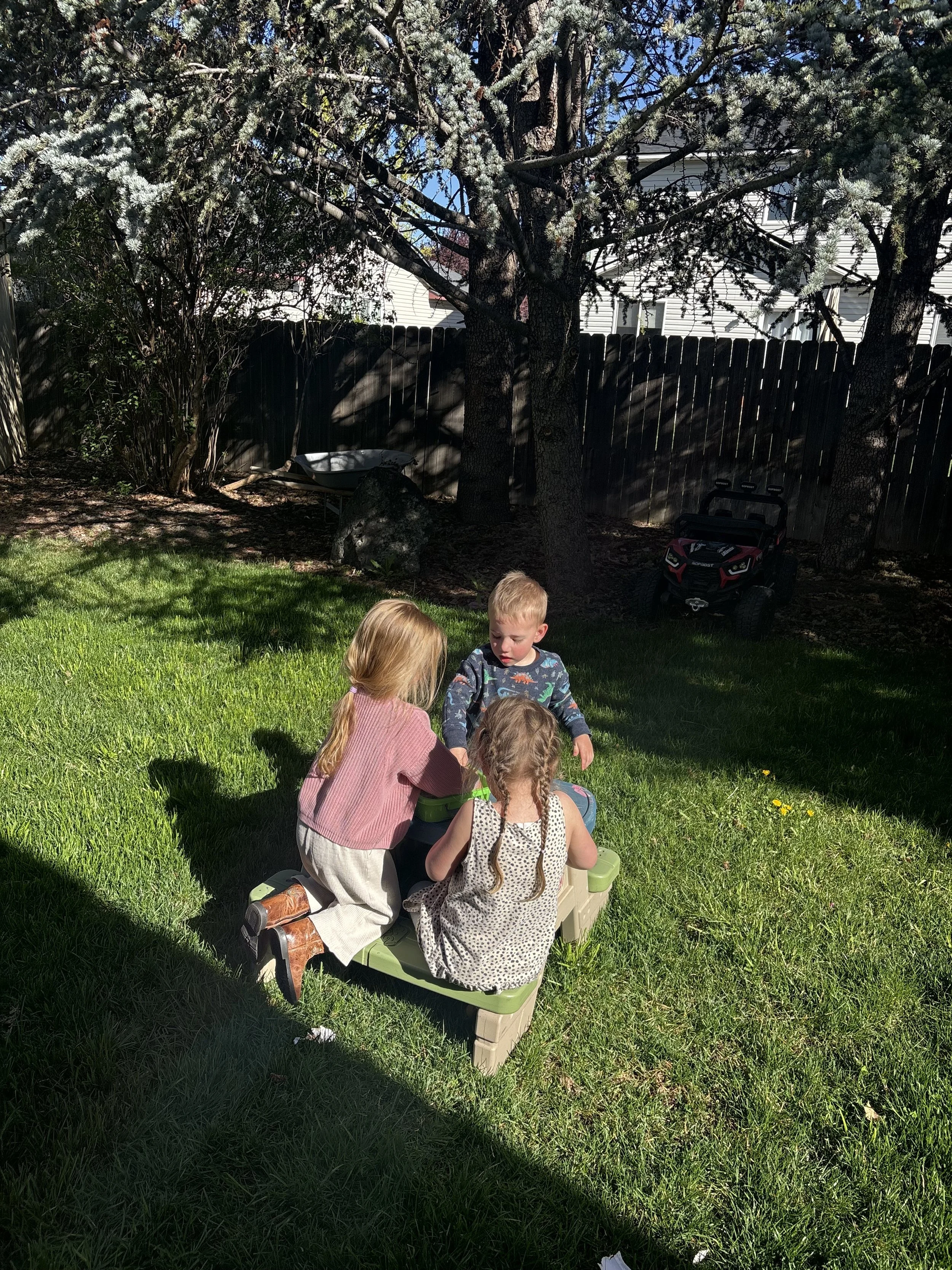 Our Homeschooling Changes for This School Year