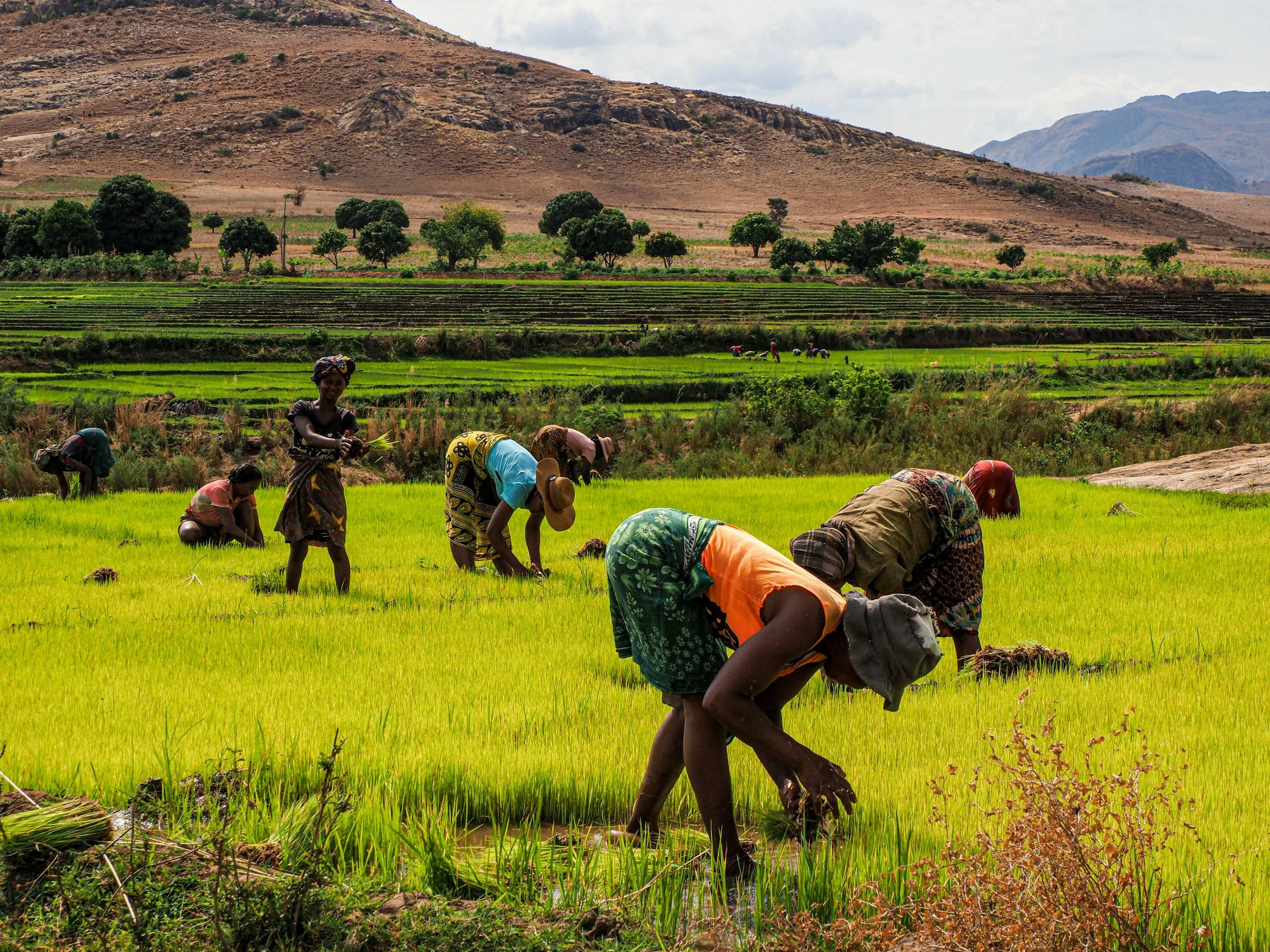 Lessons of Adaptation and Resilience From The Past