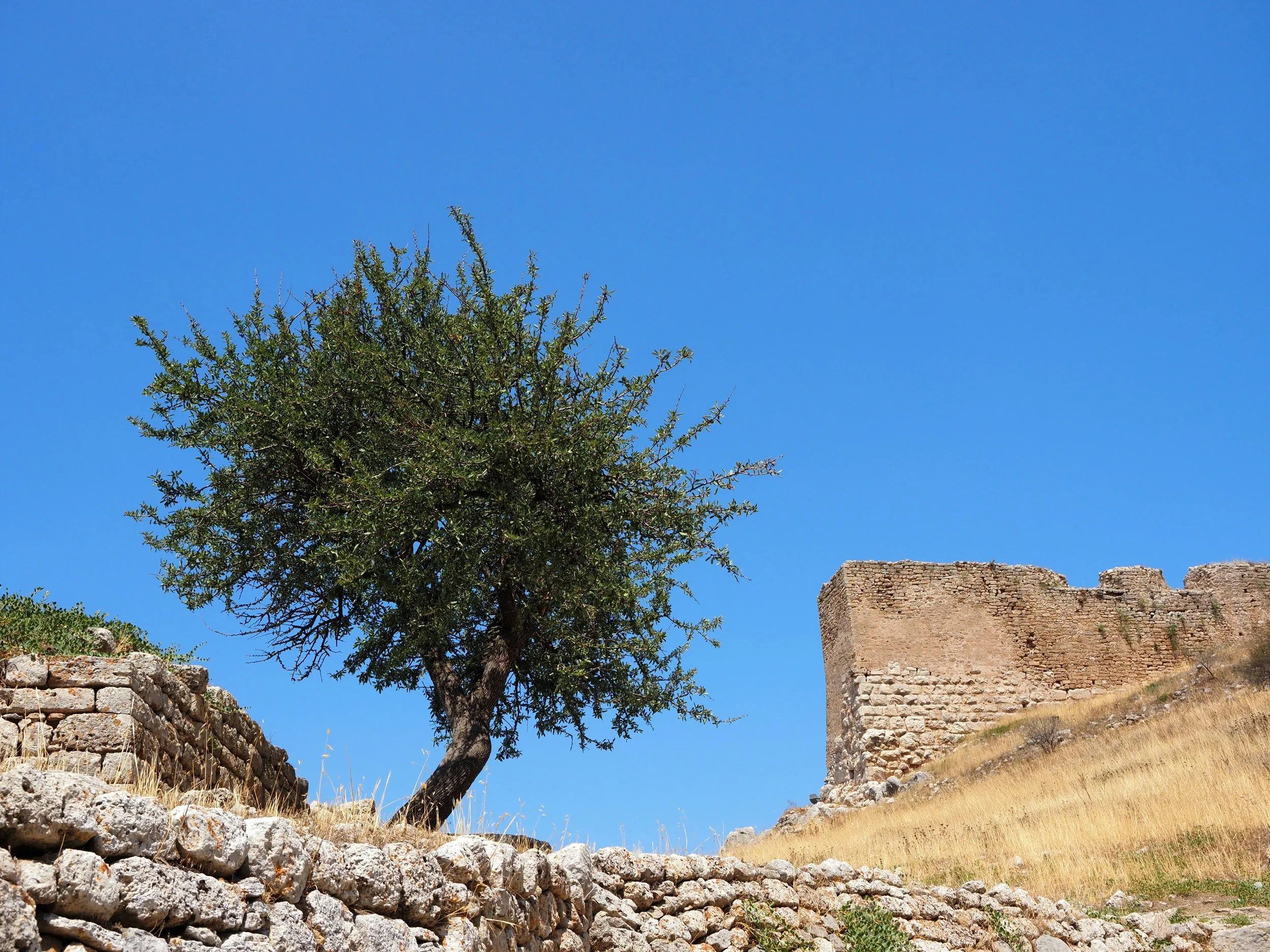 Culture and Climate Change&nbsp;