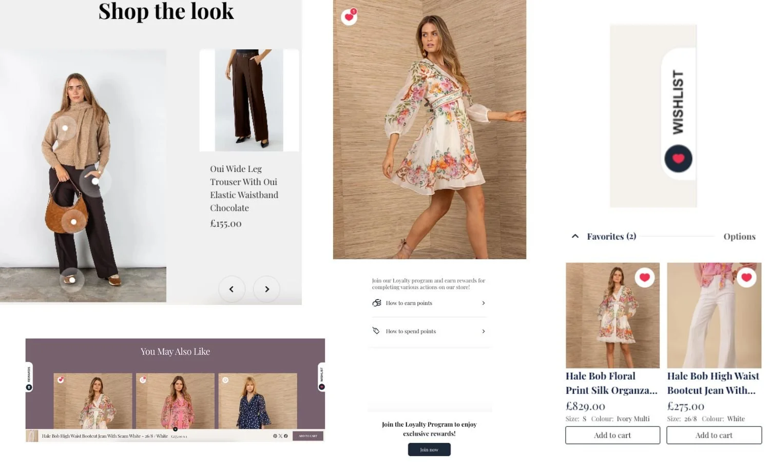 maximconsultingshopifycustomergrowth