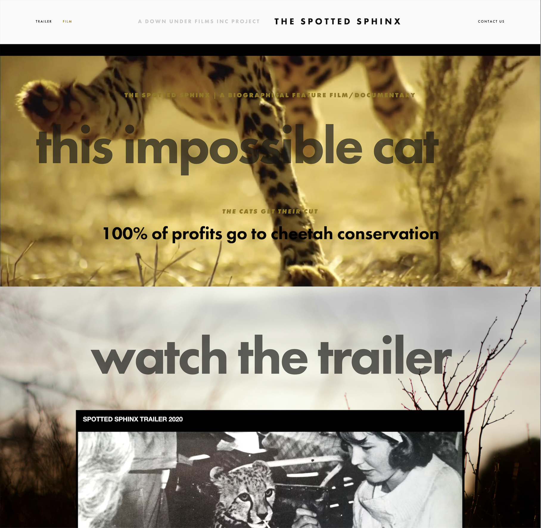 The-Spotted-Sphinx-Film_Website-Preview1.png